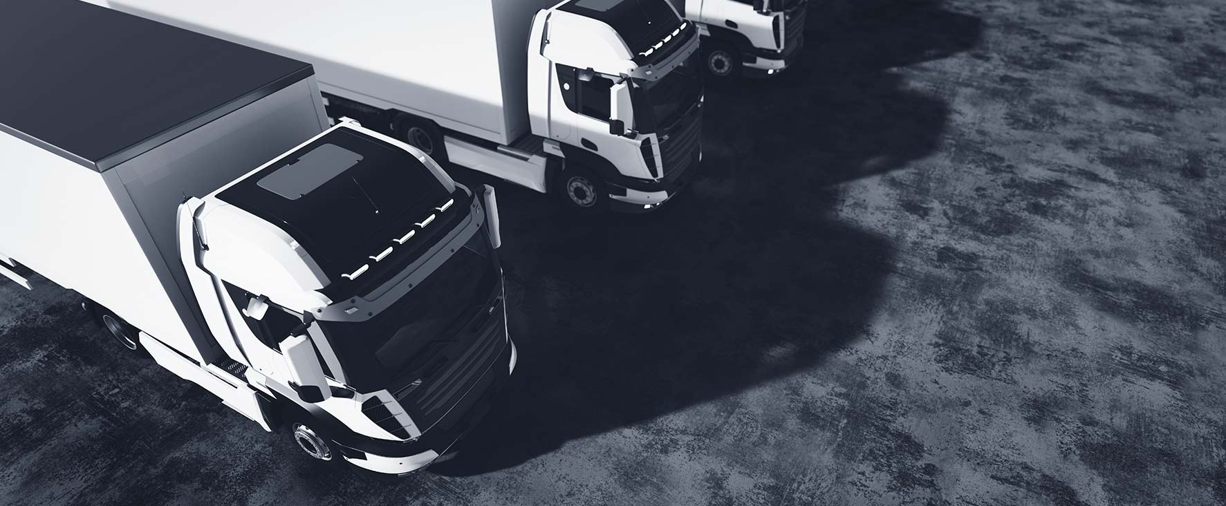 How can you be Shore?